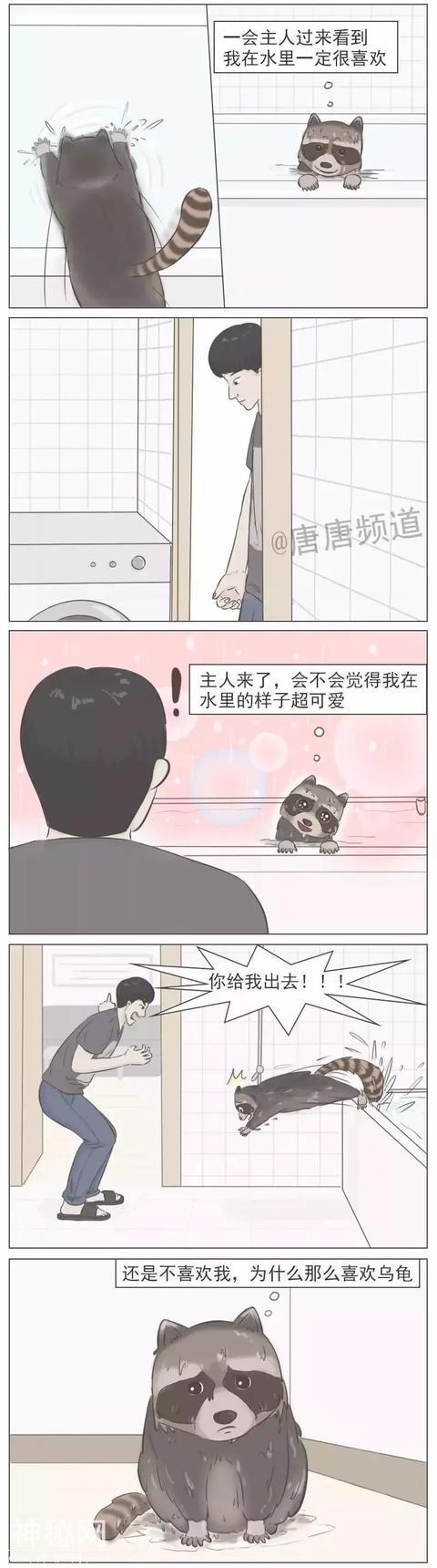 搞笑漫画：我是心甘情愿的啊哈哈哈哈哈-2.jpg