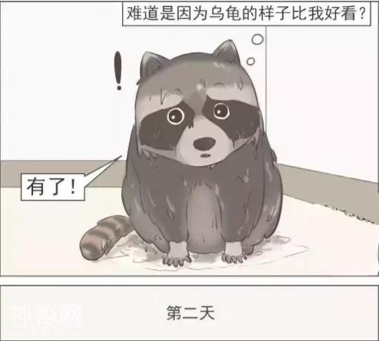 搞笑漫画：我是心甘情愿的啊哈哈哈哈哈-3.jpg