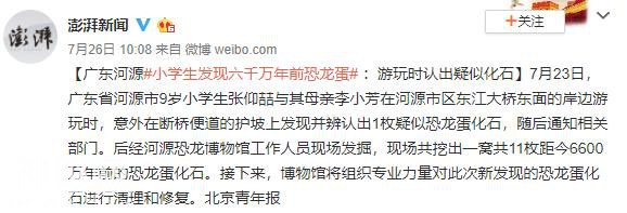 河源小学生发现恐龙蛋引亿万人围观！网友：中国地质大学欢迎你-6.jpg
