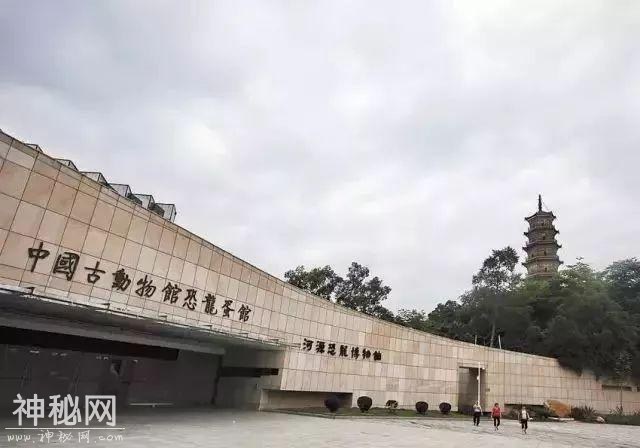 河源小学生发现恐龙蛋引亿万人围观！网友：中国地质大学欢迎你-14.jpg