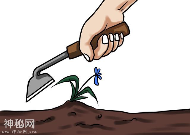 预测到刘备死期的奇人，被刘备评价：芳兰生门，不得不鉏-8.jpg