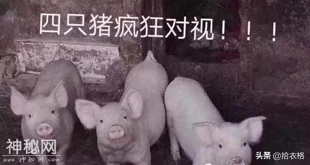 搞笑图片：这背影你打多少分？?-17.jpg