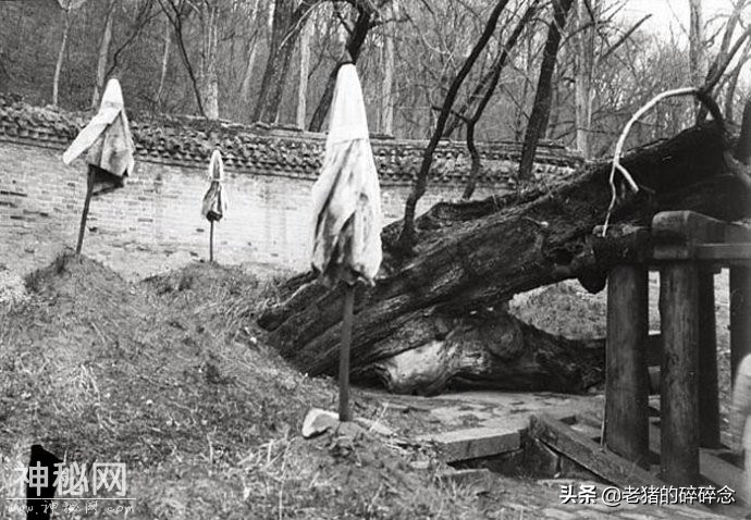 1907年法国人拍摄的东北古墓老照片，图7是仍存的努尔哈赤陵寝-6.jpg