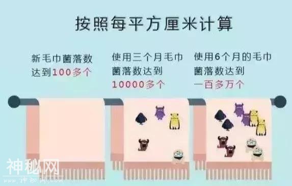 名门泽佳：毛巾超过这个期限不换，你每天就是和细菌亲密接触-3.jpg