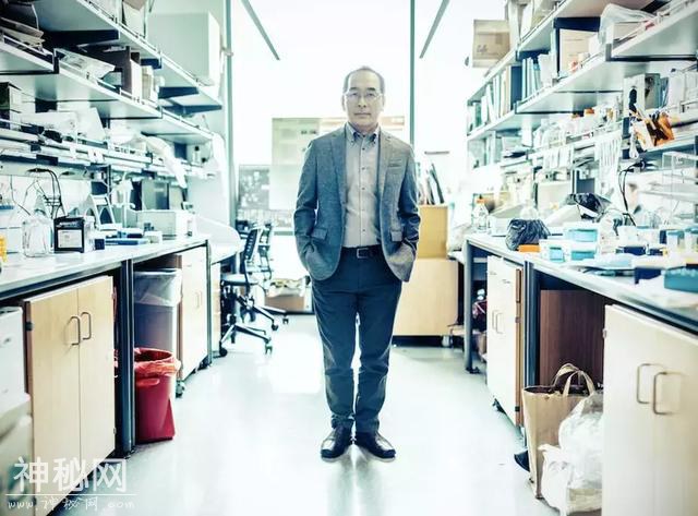 动物人要来？日本这项研究允许人体器官在老鼠身上长-2.jpg