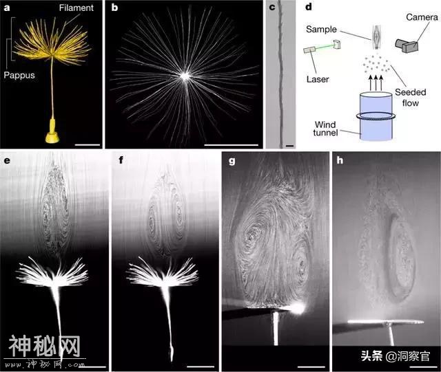 科学家：我们找到了新的飞行方式，未来制造飞碟或将成为现实-5.jpg