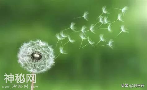 科学家：我们找到了新的飞行方式，未来制造飞碟或将成为现实-2.jpg