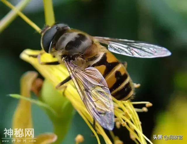 科学家：我们找到了新的飞行方式，未来制造飞碟或将成为现实-7.jpg
