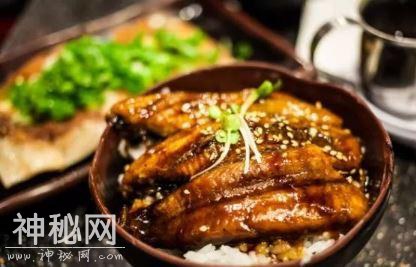 意外！科学家查了几百罐尼斯湖水的DNA，传说中的水怪可能只是条大鳗鱼？-4.jpg
