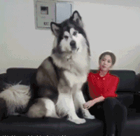 妹子各个身怀绝技啊-10.jpg