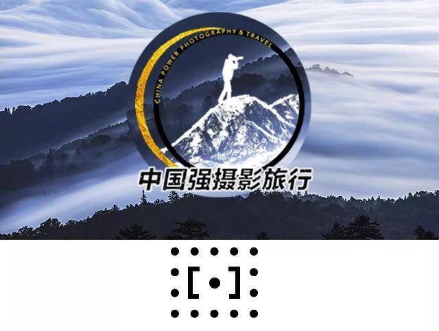摄影师耗费10年，拍下动物们老去的样子-1.jpg