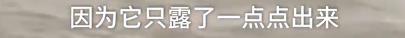 专家初判“三峡坝区神秘龙样水怪”：不是水怪，蛇的可能性大-9.jpg