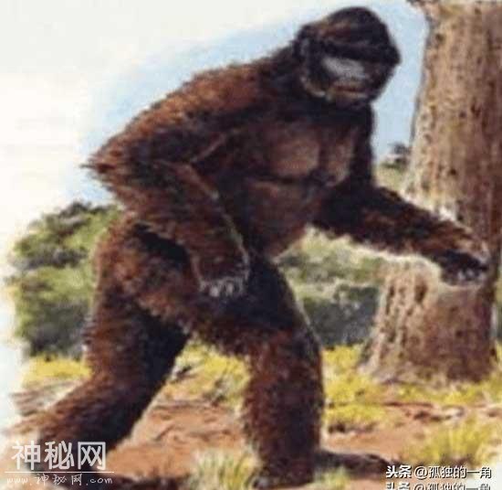 世界五大神秘生物排名：野人上榜-1.jpg