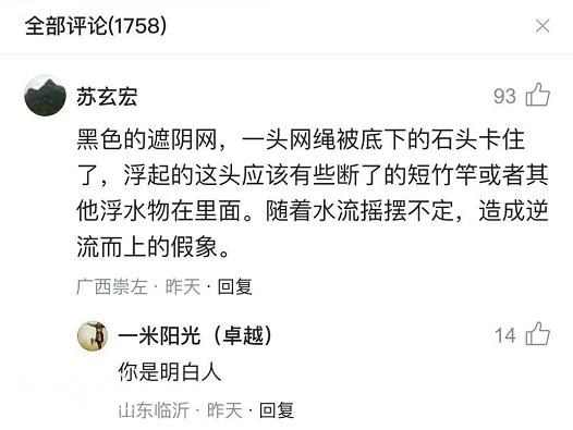 三峡坝区现“神秘水怪”？专家分析……最新情况来了-3.jpg
