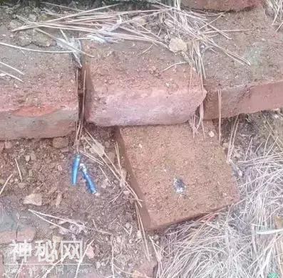 大连57岁男子与妻子吵架后离家出走 自家祖坟前发现上吊绳和烟头…-3.jpg