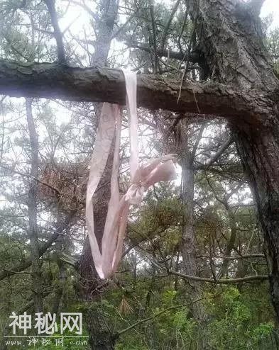 大连57岁男子与妻子吵架后离家出走 自家祖坟前发现上吊绳和烟头…-1.jpg