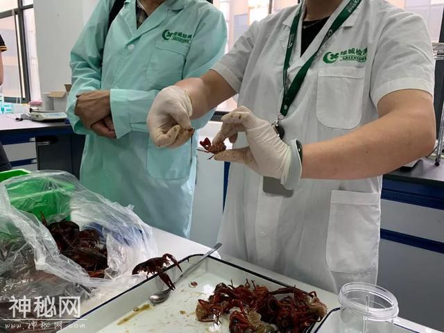 小龙虾放一晚上细菌涨1000倍？还能不能放心吃？实验数据告诉你-2.jpg
