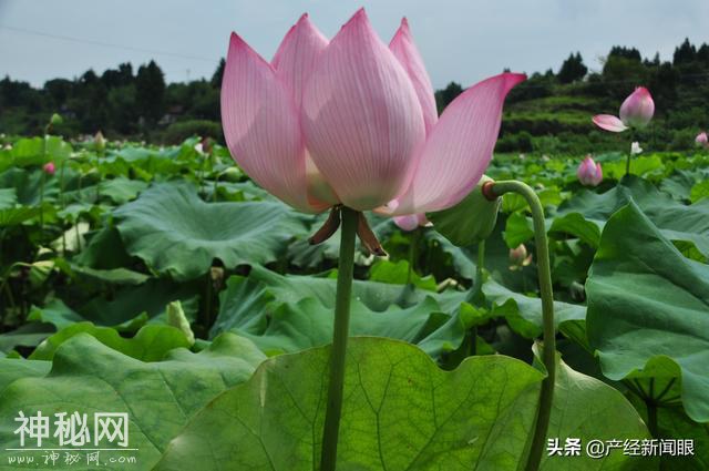 伴绝症初恋最后一程，悲情男儿真情复归声声唤妻女-2.jpg