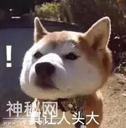 因为专业，这些人竟都成了“毛不易”-9.jpg