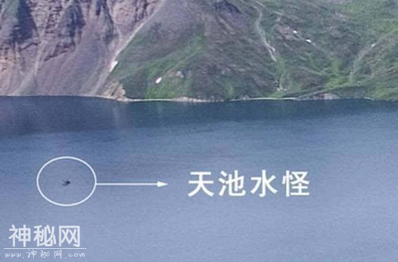 世界上著名的6大水怪未解之谜，科学家：可能是史前生物后代-3.jpg