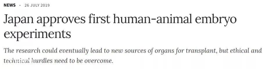 日本政府批准“人兽杂交胚胎”实验，让动物长出人类器官？-1.jpg