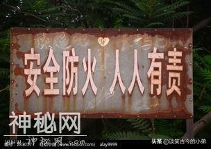 开头很吓人，结尾超级搞笑的鬼故事，你敢看嘛（二）-2.jpg