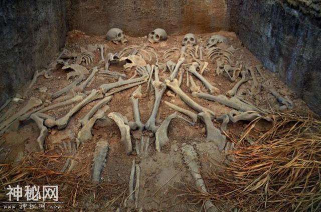 考古发现中国第一女将军墓，看到墓中一陪葬品，专家倒吸一口凉气-2.jpg