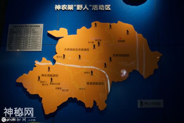 神农架大脚印之谜 目击者与野人生活五昼夜-1.jpg