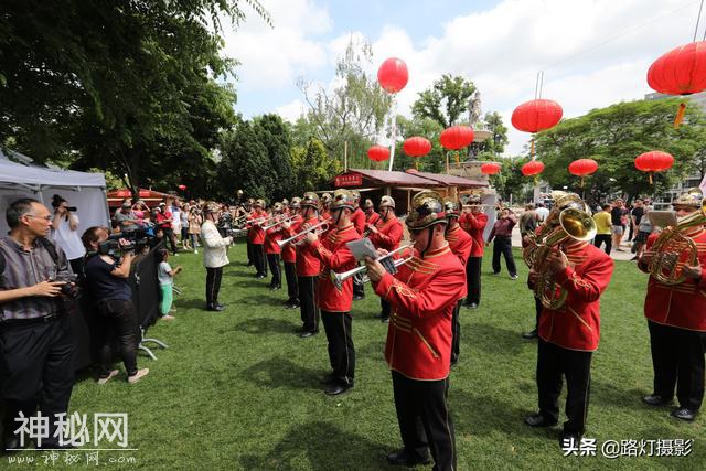 同样是在公共场所，为什么欧洲的草坪可以随意踩踏？这就是真相-6.jpg