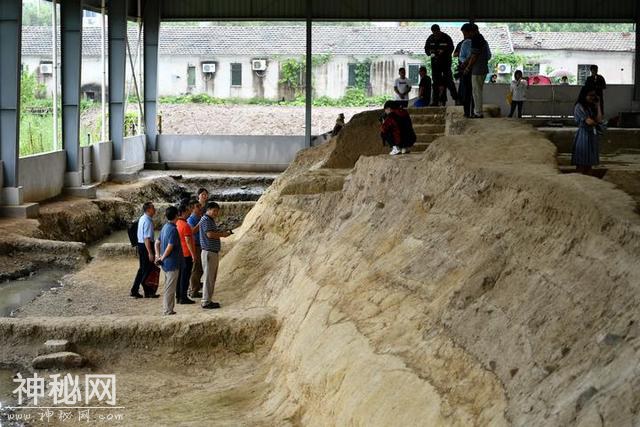 “最早浙江人”完整遗骸惊现义乌桥头遗址 诸多全国之最震撼考古界-1.jpg