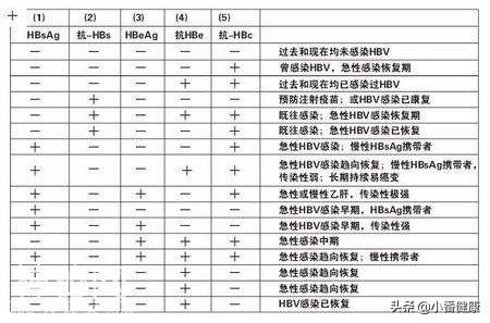 乙肝小三阳发病原理指什么，认清免疫状态，应答与抗病毒有联系-1.jpg