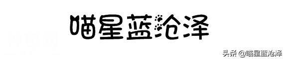 关于幼猫你不知道的10件事之——幼猫怎么分辨公母？-1.jpg