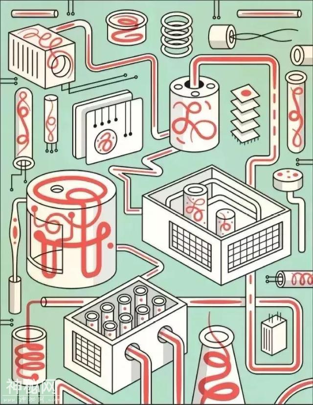 第三次生物技术革命，让合成生物学开启基因新时代-4.jpg