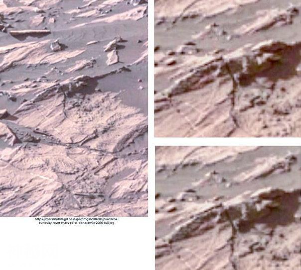 俄亥俄州大学教授称：NASA照片证明类似昆虫的生物正在火星上飞-5.jpg