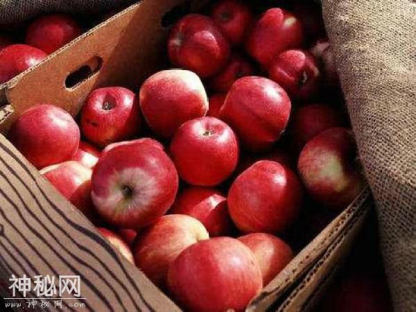 常吃苹果好处多 可增强身体免疫力和抵抗力-3.jpg