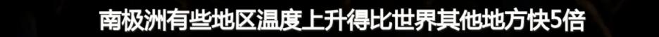 这里太热了！BBC《七个世界，一个星球》摄影师在南极哭了-8.jpg