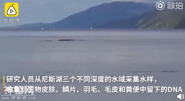 尼斯湖水怪可能真的存在？最新研究收集到DNA，网友回复笑翻了-2.jpg