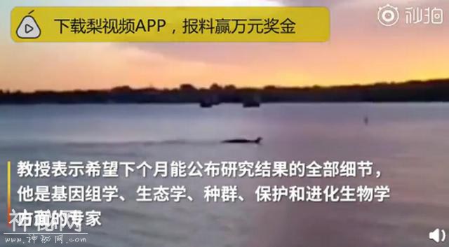 尼斯湖水怪可能真的存在？最新研究收集到DNA，网友回复笑翻了-4.jpg
