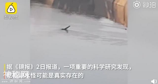 尼斯湖水怪可能真的存在？最新研究收集到DNA，网友回复笑翻了-1.jpg