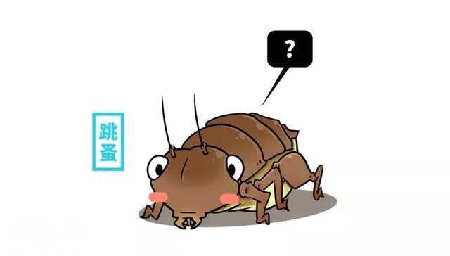 消灭西方三分之一人口的恐怖细菌再出现，居然全靠这个网红生物？-6.jpg