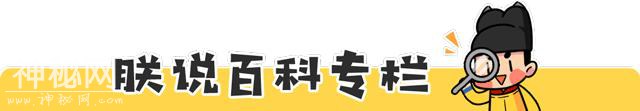 消灭西方三分之一人口的恐怖细菌再出现，居然全靠这个网红生物？-38.jpg