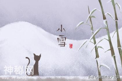 今天是小雪，小雪如何养生保健-3.jpg