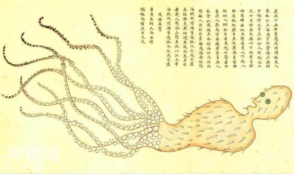 清朝作者绘制了一本图册，如今收藏在故宫，里面生物都很“诡异”-3.jpg