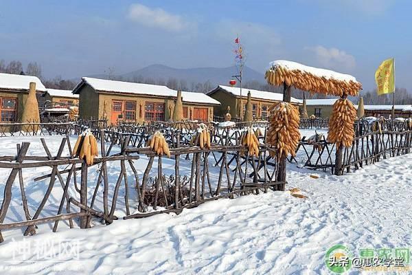 明日小雪，小雪传统民俗有哪些？这些你家乡也有吗？-1.jpg