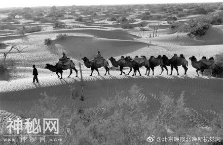 丝绸之路四项重要考古成果发布 揭秘丝路之“最”-1.jpg