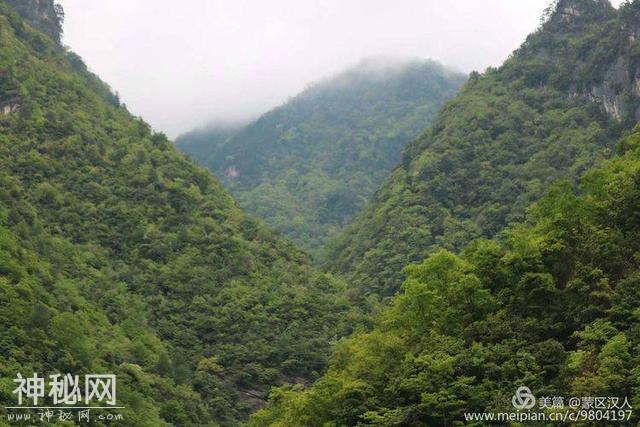 绿水青山神农架 ---有野人吗-18.jpg