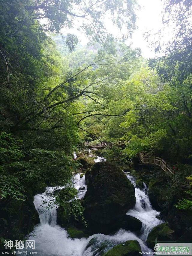 绿水青山神农架 ---有野人吗-25.jpg