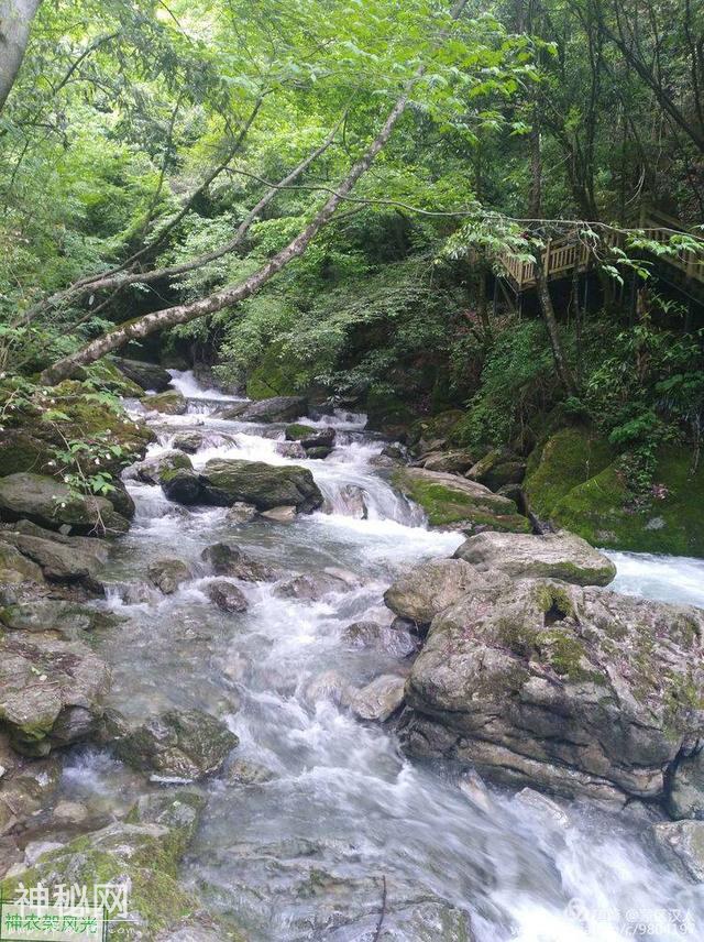 绿水青山神农架 ---有野人吗-28.jpg