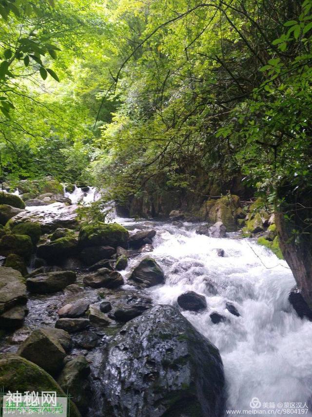 绿水青山神农架 ---有野人吗-29.jpg