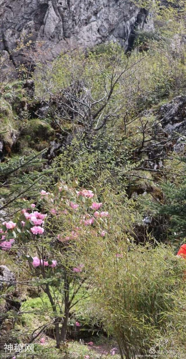 绿水青山神农架 ---有野人吗-34.jpg